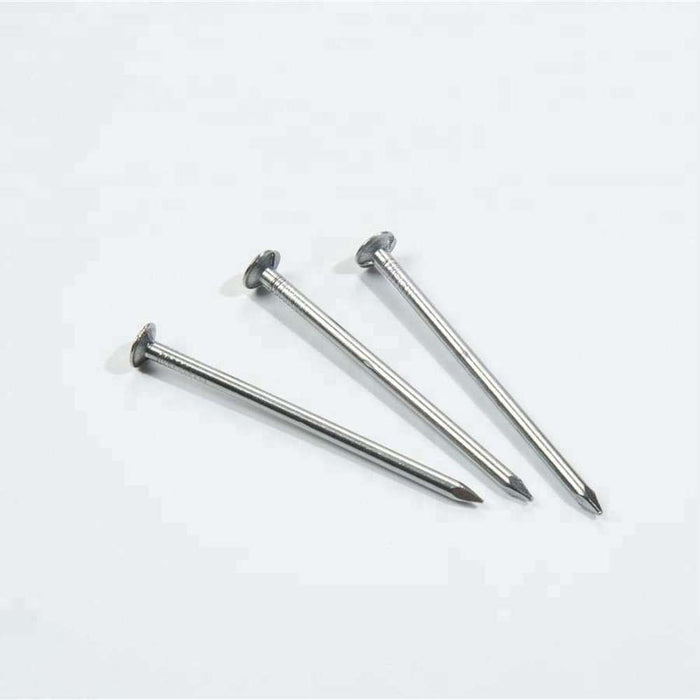 BIL Panel Pin Nails Flat Head Galv 25mm x 500g