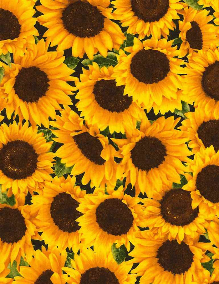 FLEUR-C5253 SUNFLOWER
