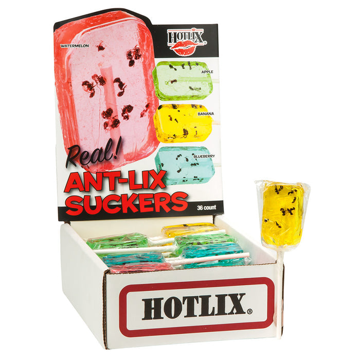 Hotlix Lollipop Ant Lix Suckers 1oz - 36ct