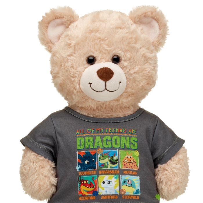 How to Train Your Dragon T-Shirt