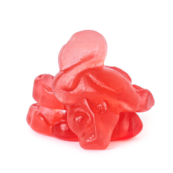 Vidal Pink Flamingos Gummy - 2.2lbs