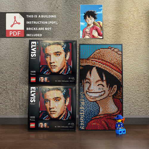 31204-luffy