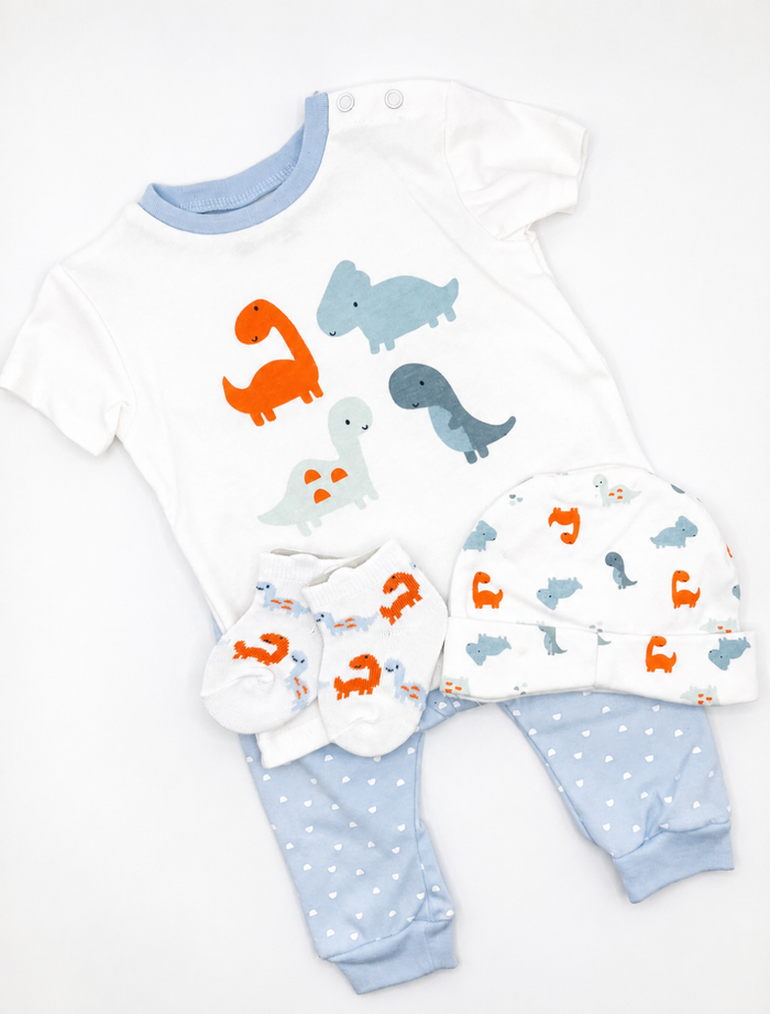 4pc Dinosaur Clothing Set