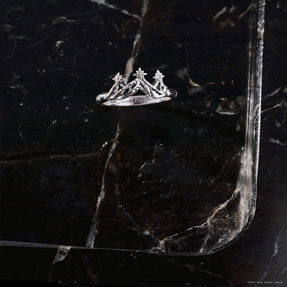 A Court of Thorns and Roses™ Bat Boys Ring Set of 3