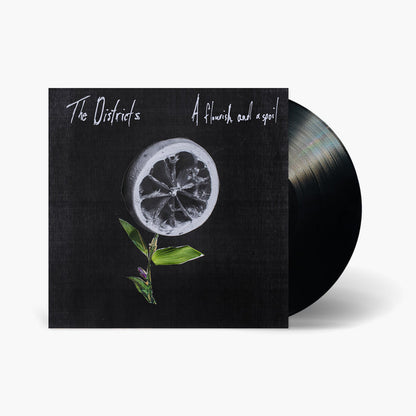 The Districts - A Flourish and a Spoil Vinyl & Merch | Fat Possum Records