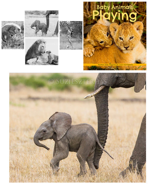 Baby Animal Lovers Bundle