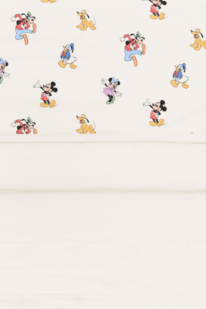 Back side fabric of baby blanket with mickey mouse and friends print on an oat background.