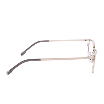 BERNIE - BRUSHED SILVER + GLASSES