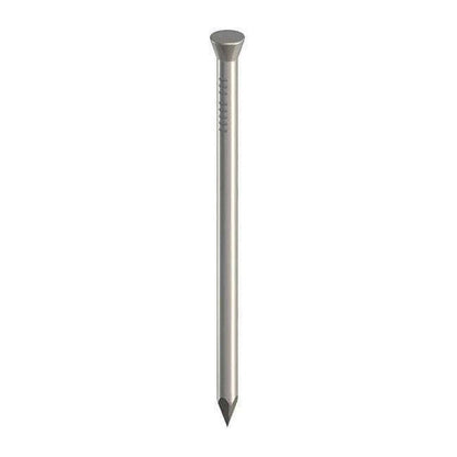BIL Panel Pin Nails Flat Head Galv 25mm x 500g