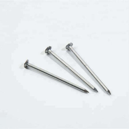 BIL Panel Pin Nails Flat Head Galv 25mm x 500g