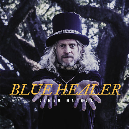 Fat Possum - Blue Healer Vinyl & Merch | Fat Possum Records