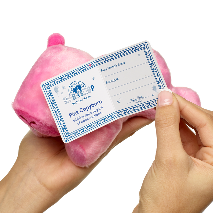 Build-A-Bear Mini Beans® Pink Capybara Stuffed Animal