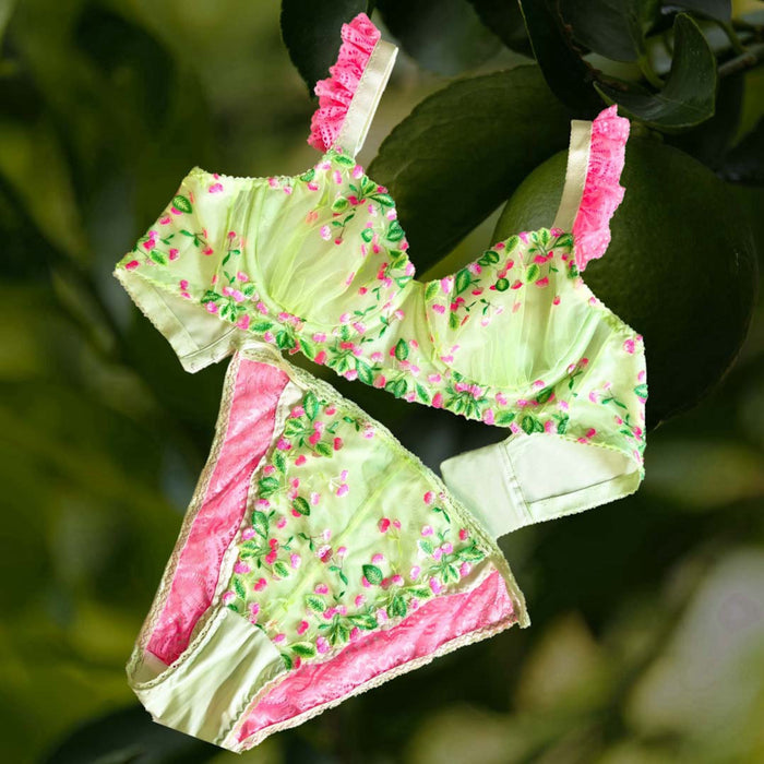 Cherry Lime Pop Lace Bra and Panty Bundle