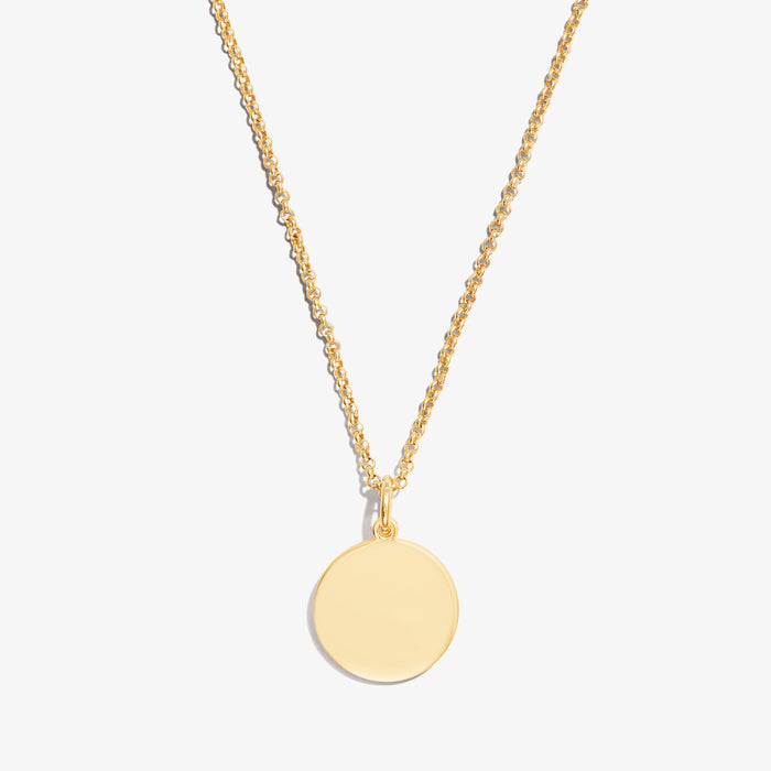 Circle Charm Necklace, 21''