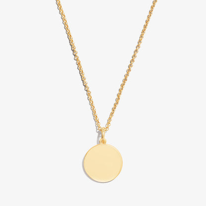 Circle Charm Necklace, 21''