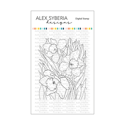 Daffodils Digital Stamp