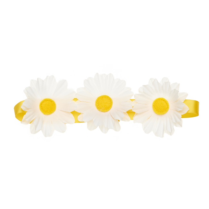 Daisy Flower Crown
