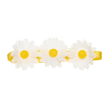 Daisy Flower Crown