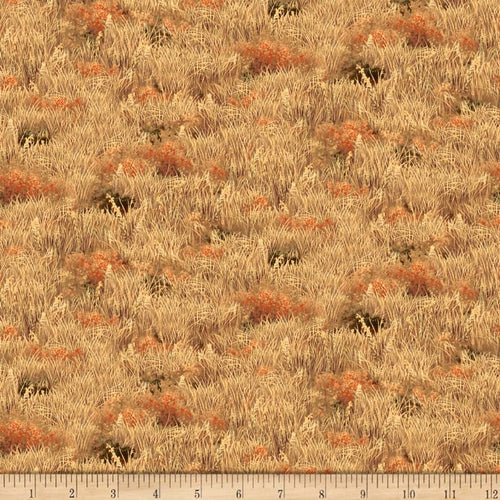 DEER VALLEY 1649-26894-AE Tan Grasses