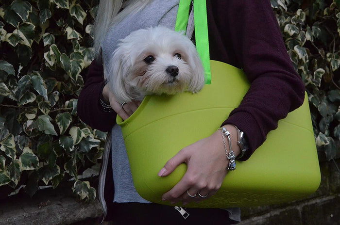 Ferplast WithMe Pet Carrier Bag Green For Max 8kg