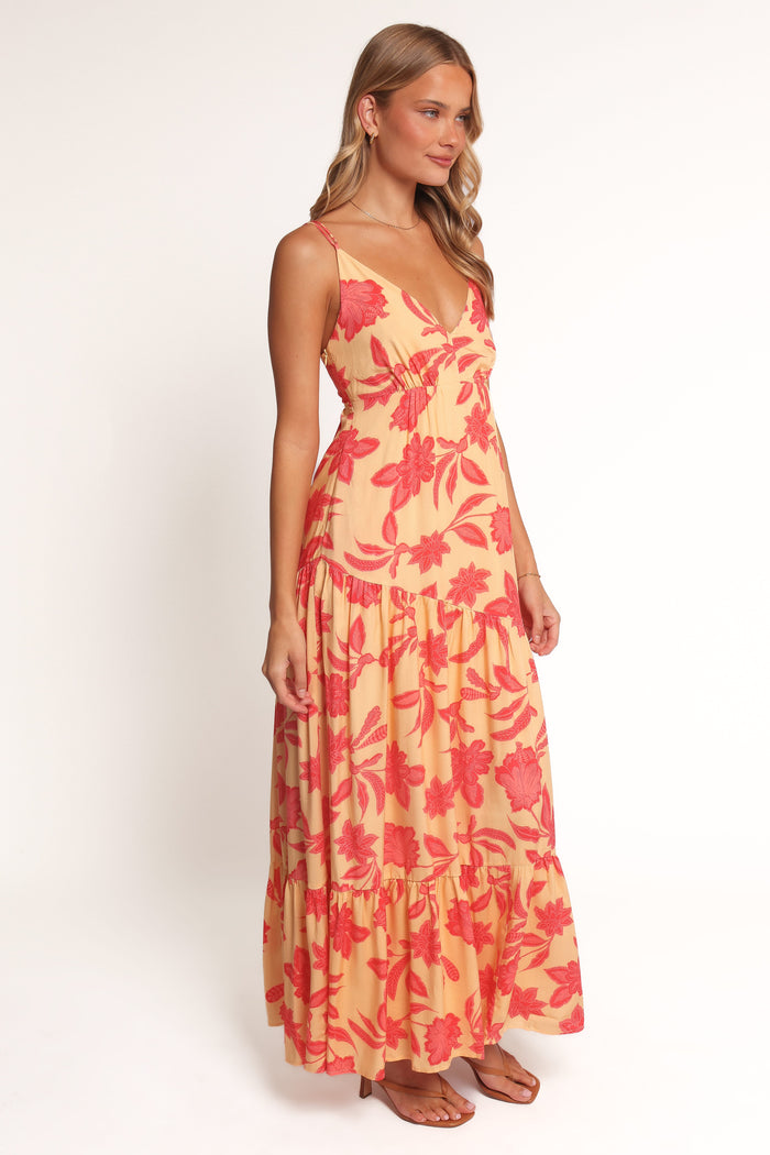 Petal and Pup USA DRESSES Forbes Maxi Dress - Red Floral