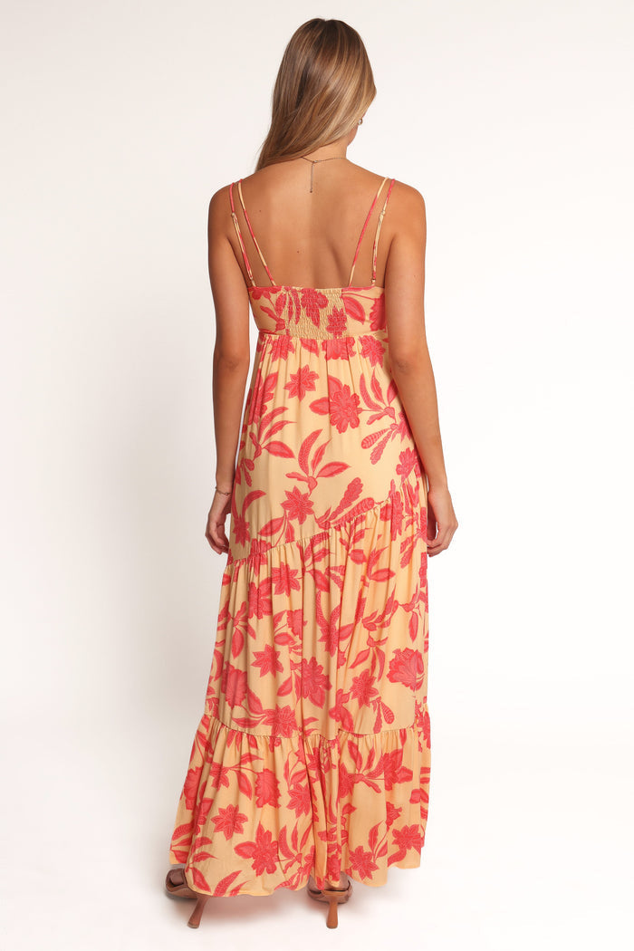 Petal and Pup USA DRESSES Forbes Maxi Dress - Red Floral