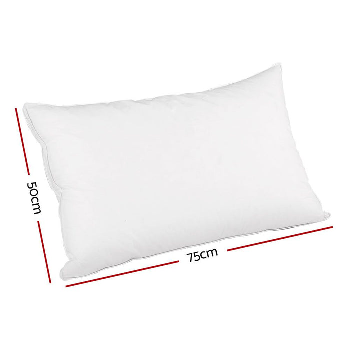 Giselle Bedding Duck Feather Down Pillow Luxury Twin Pack -Home Living Store - -
