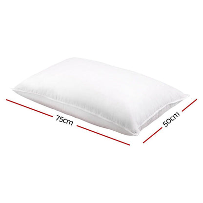 Giselle Bedding Duck Feather Down Pillow Twin Pack -Home Living Store - -