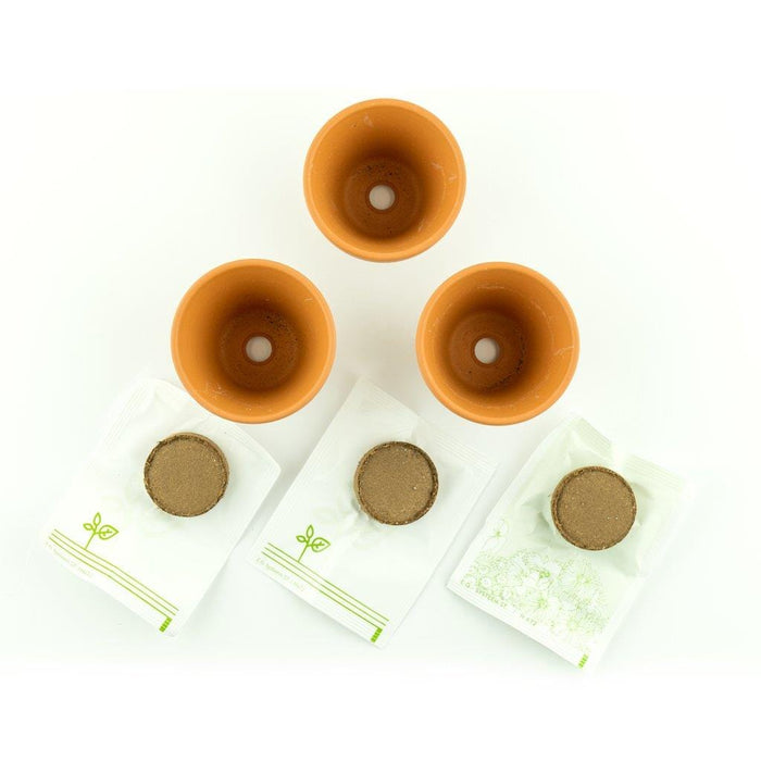 Grow Kit [Discontinued] by Pimoroni - The Pi Hut