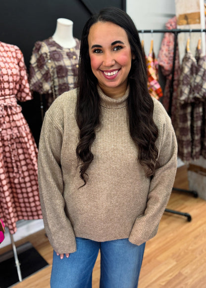 camel solid sweater turtleneck by Karlie