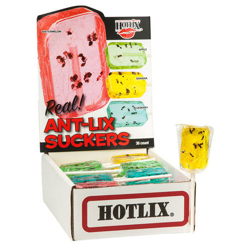 Hotlix Lollipop Ant Lix Suckers 1oz - 36ct