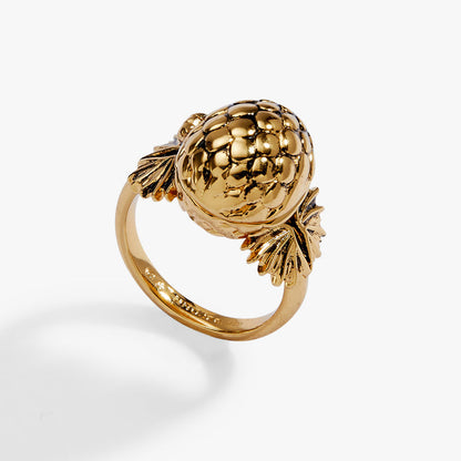 House of the Dragon™ 'Fire Will Reign' Dragon Egg Locket Ring