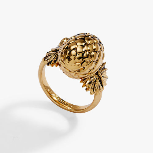 House of the Dragon™ 'Fire Will Reign' Dragon Egg Locket Ring