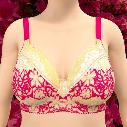 Layer Cake Willowdale Bra Kit
