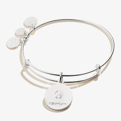 Shiny Silver