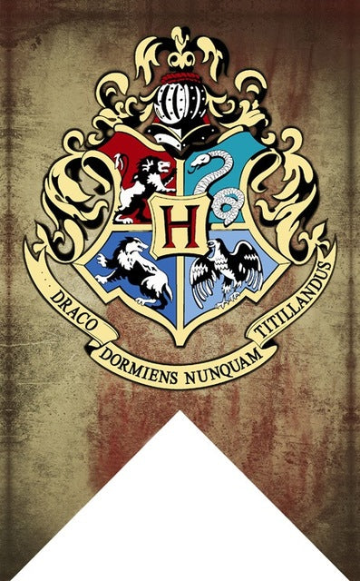 Magic Hogwarts College Flags
