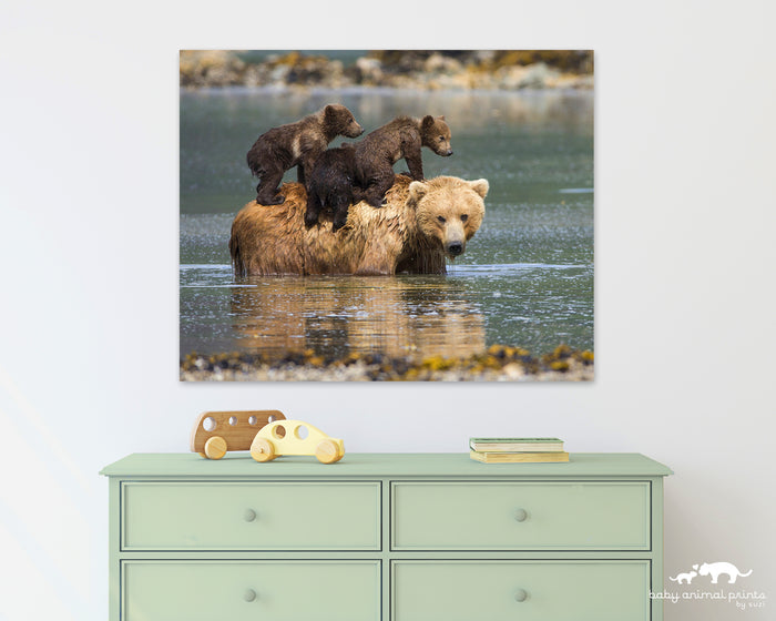 Mom and Baby Bears in Water Photo
