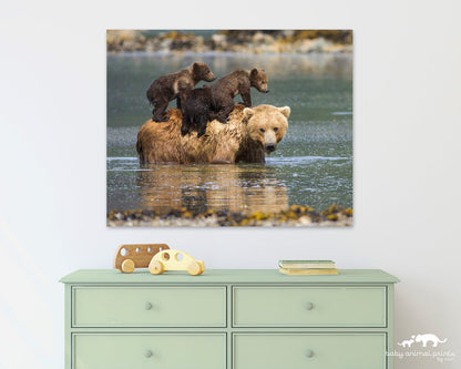 Mom and Baby Bears in Water Photo
