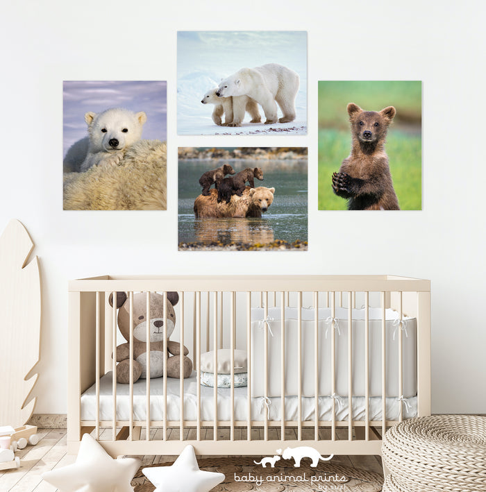 Mom and Baby Bears in Water Photo