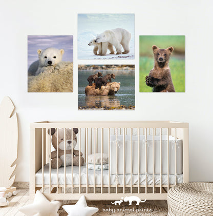 Mom and Baby Bears in Water Photo