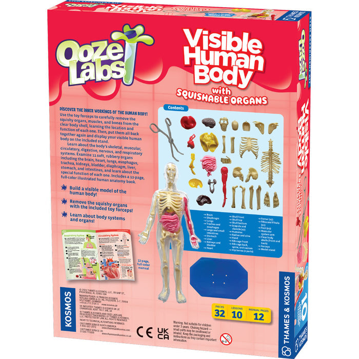 Ooze Labs: Visible Human Body with Squishable Organs STEM Thames & Kosmos
