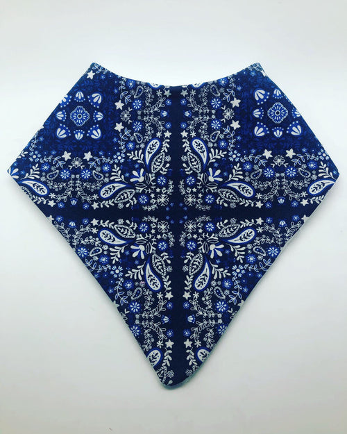 Paisley Blue