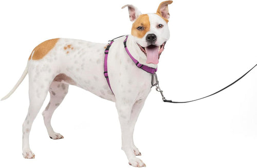 PetSafe 3in1 Dog Harness No Pull Solution For Dogs Plum Medium