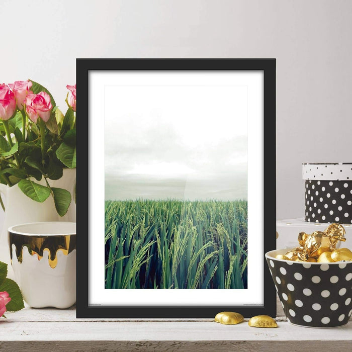 Poster Hub Feng Shui Wood Rice Field Growth Expansion And Vitality Art Decor