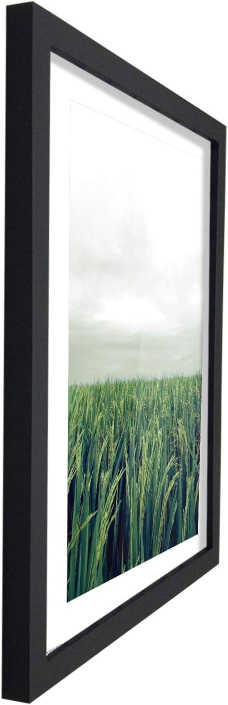Poster Hub Feng Shui Wood Rice Field Growth Expansion And Vitality Art Decor