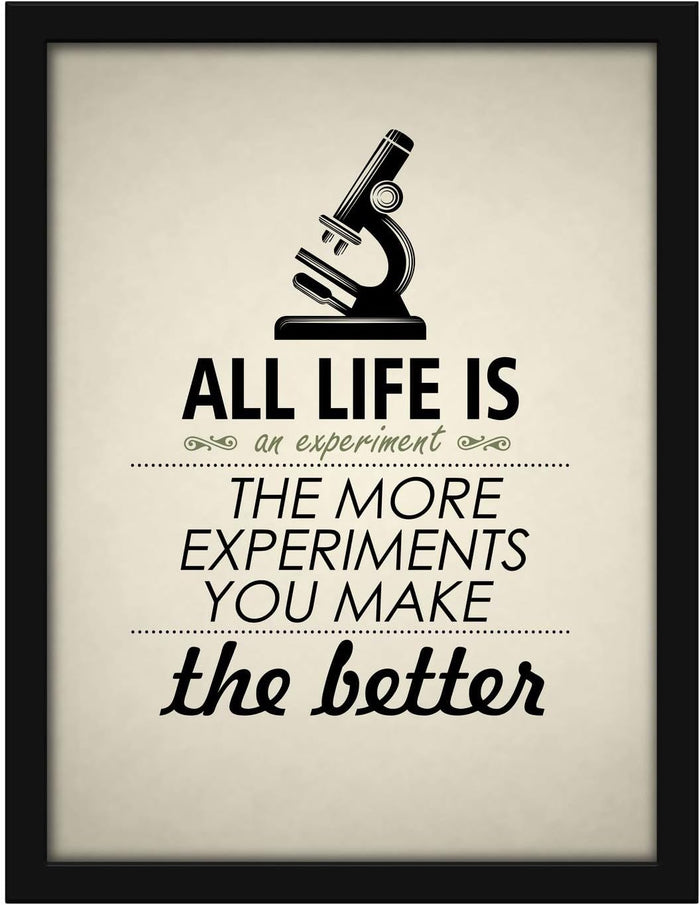 Poster Hub Life Is Like An Experiment Motivational Art Décor Black APLS1833040BK