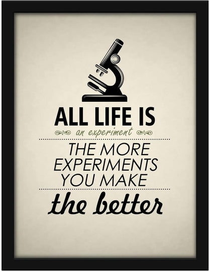 Poster Hub Life Is Like An Experiment Motivational Art Décor Black APLS1833040BK