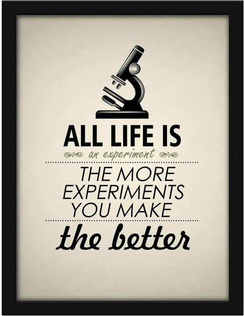 Poster Hub Life Is Like An Experiment Motivational Art Décor Black APLS1833040BK