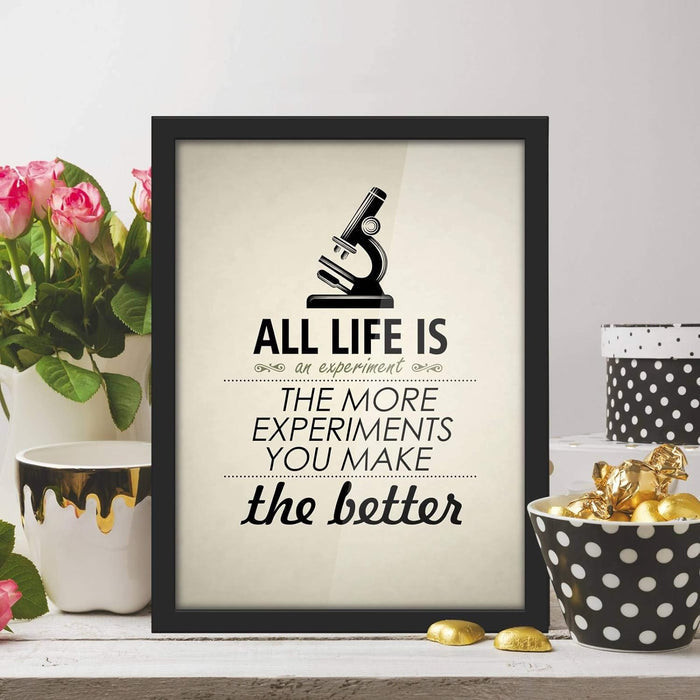Poster Hub Life Is Like An Experiment Motivational Art Décor Black APLS1833040BK