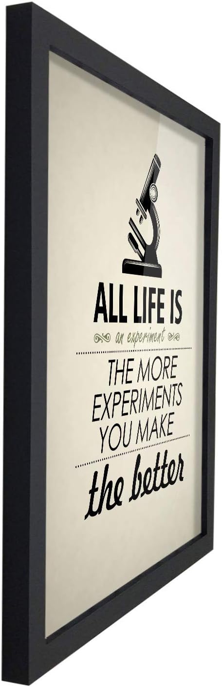 Poster Hub Life Is Like An Experiment Motivational Art Décor Black APLS1833040BK